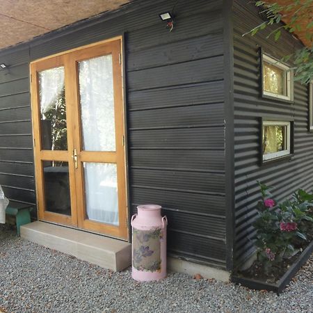 Apartamento Cabana En La Naturaleza Futrono Lago Ranco Exterior foto